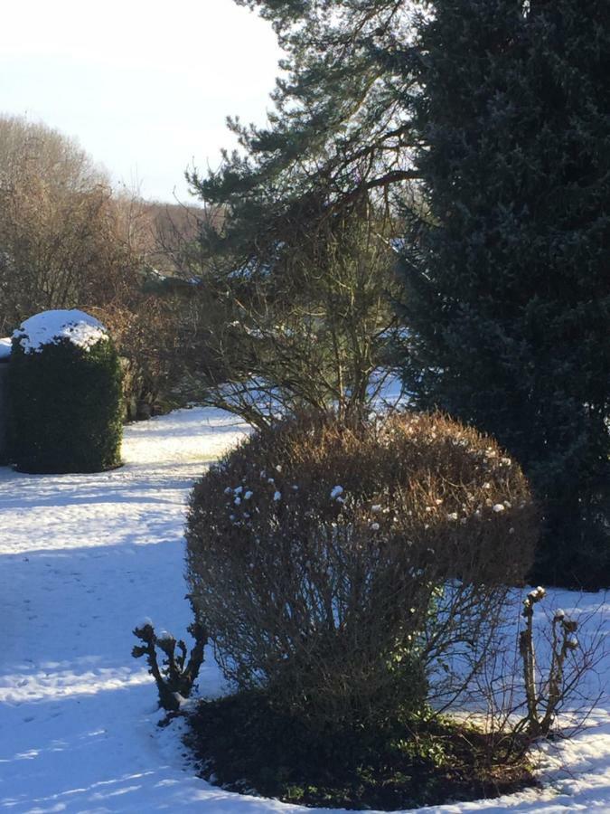 La Ferme Des Ruelles Bed and Breakfast Moigny Exteriör bild